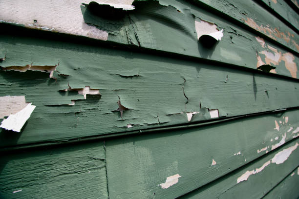 Best Moving and Downsizing Cleanouts  in Columbus, IN